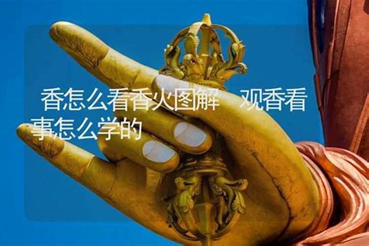 半个月前流产了,可老是梦到一个小女孩,昨天夜里又梦到我搂着她睡觉...