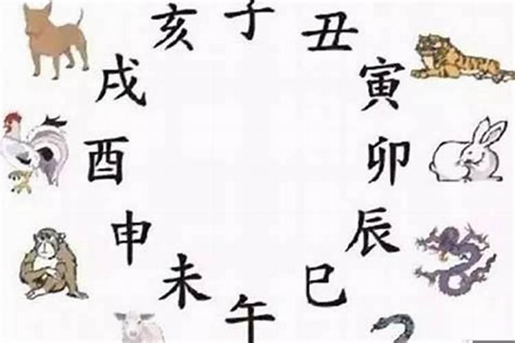 属鼠和属马的合不合得来