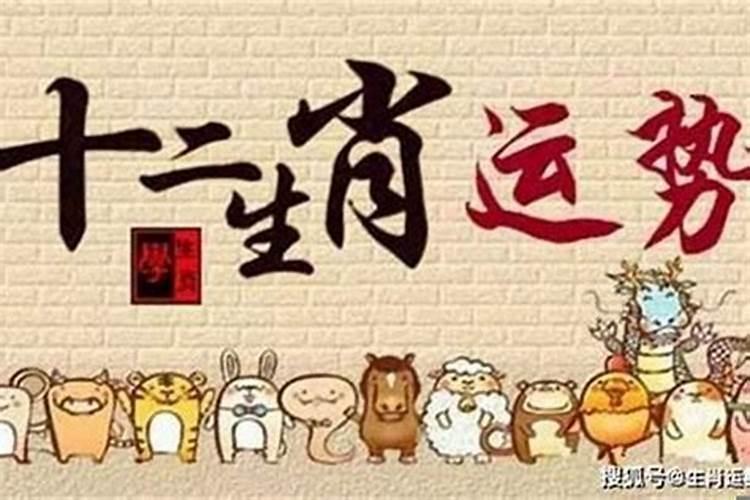 农历八月的男兔 属兔最忌讳几月出生
