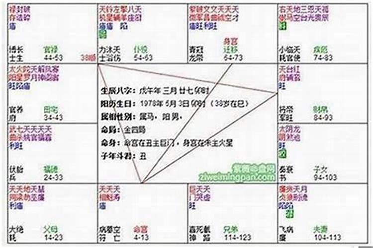 命相官禄廉贞七杀癸未是什么意思啊