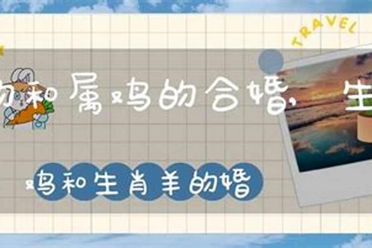 属兔和属龙的在一起 好吗？