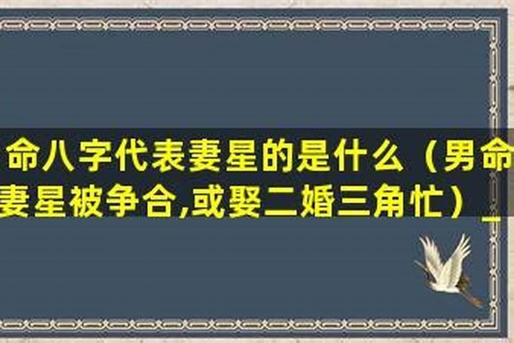 男命妻星被争合,或娶二婚三角忙怎么理解