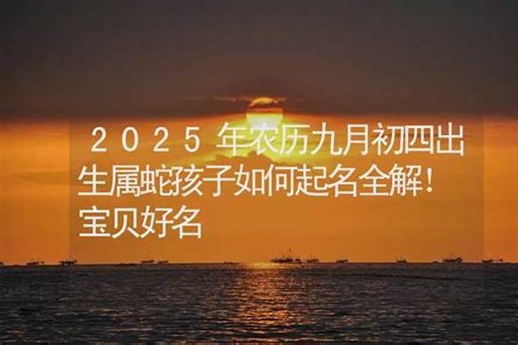 生肖蛇2025年运势及运程如何