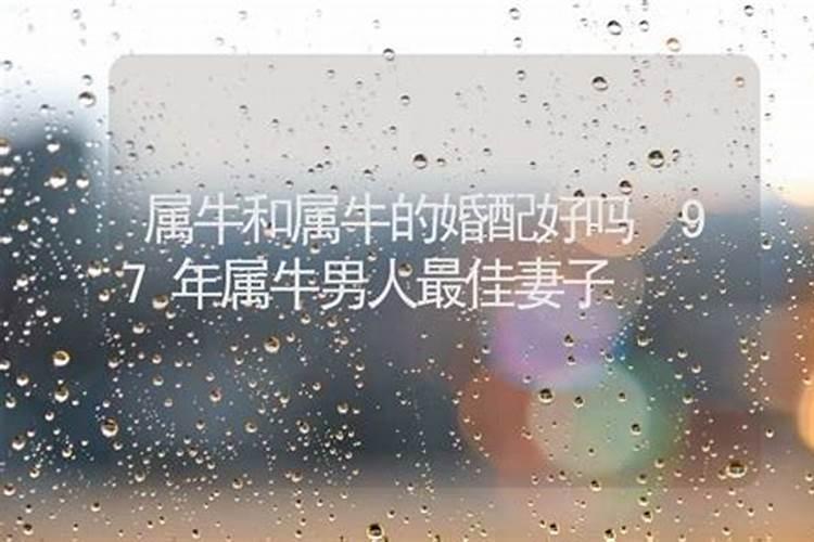 98年女属虎和97年男属牛配吗,98年属虎的男和97年的女牛能相配吗？