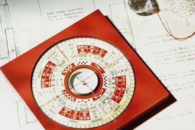 5月份栽树可以成活吗
