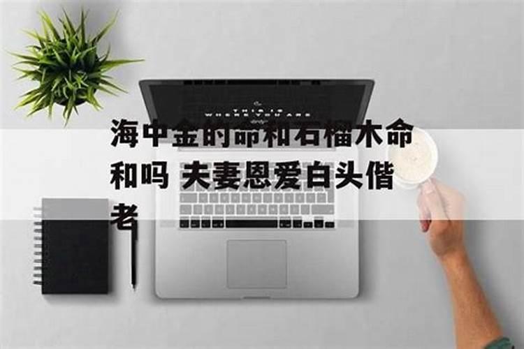 海中金的命和石榴木命和吗 夫妻恩爱白头偕老？