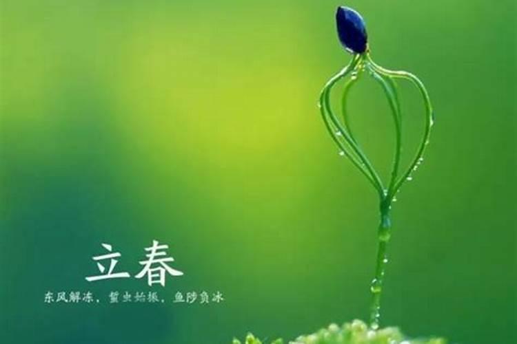 2024年正月初三生的宝宝属什么 命理五行缺金禁忌