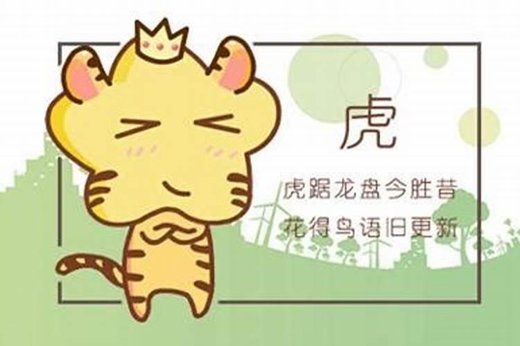 属相龙和属相虎的人合适在一起吗？