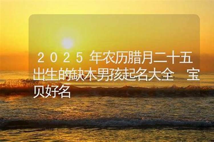 左姓腊月女羊宝宝取名  百度宝宝知道