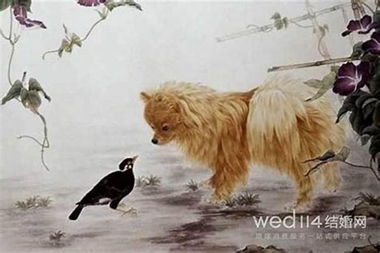 2025破太岁用什么东西
