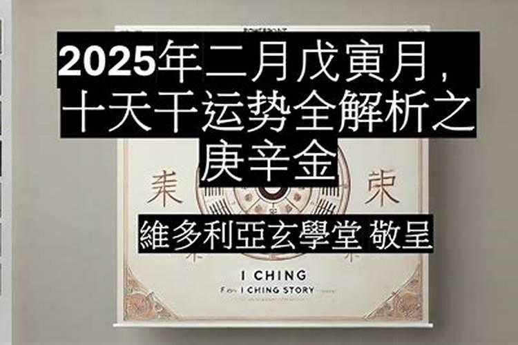 属鼠人2025年运势分析
