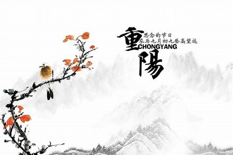 属蛇的几月份出生的最好最旺