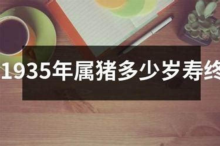 1984年农历8月出生的运势,1984年属鼠人2022 年运势