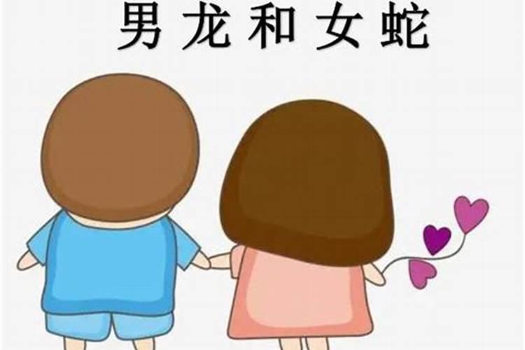 男蛇女龙婚姻好不好