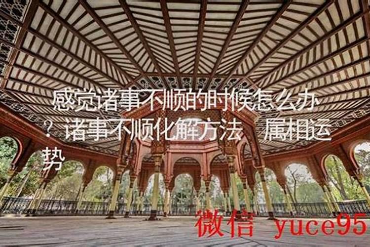 今年不顺怎么化解如何化解不顺