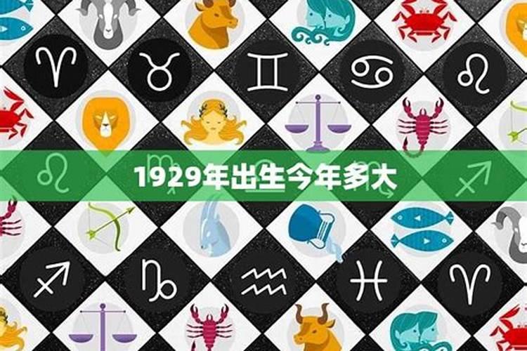 属蛇人猴年运程