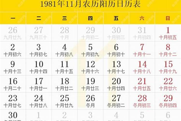 男属蛇女属龙的姻缘