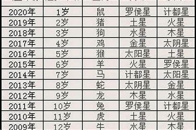 属马人2025年每月运势运程每月