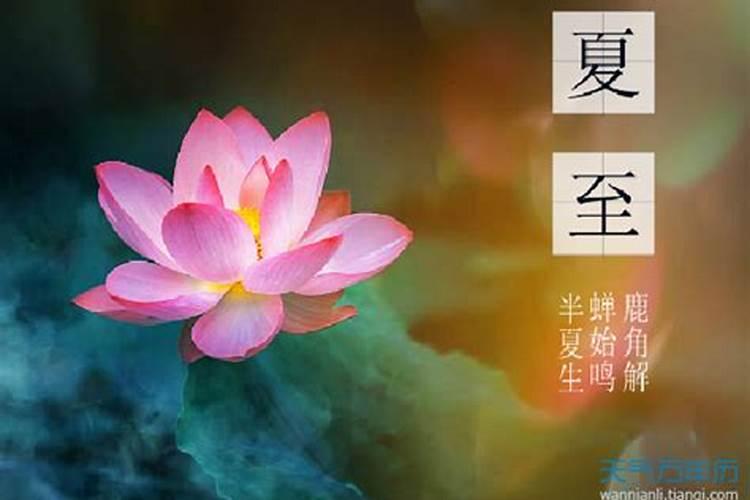 夏至节气的特点和风俗 夏至的俗语有哪些