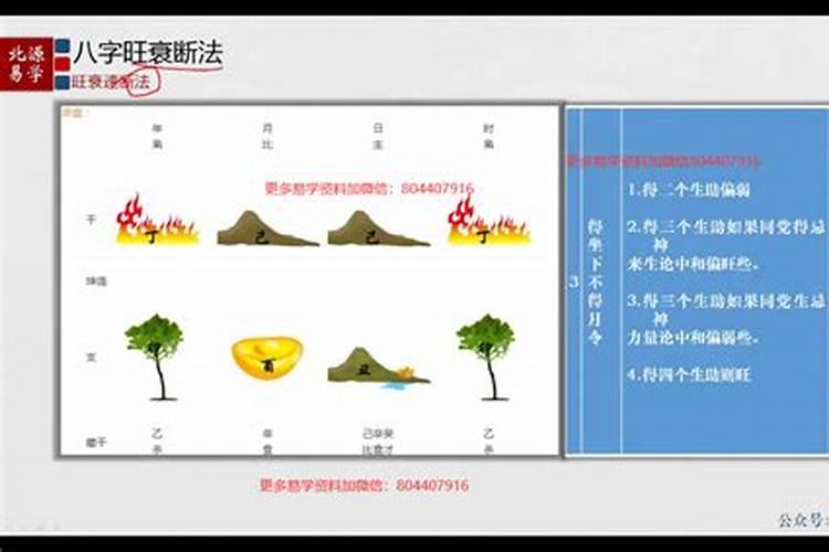 先算合化,再看身强身弱吗
