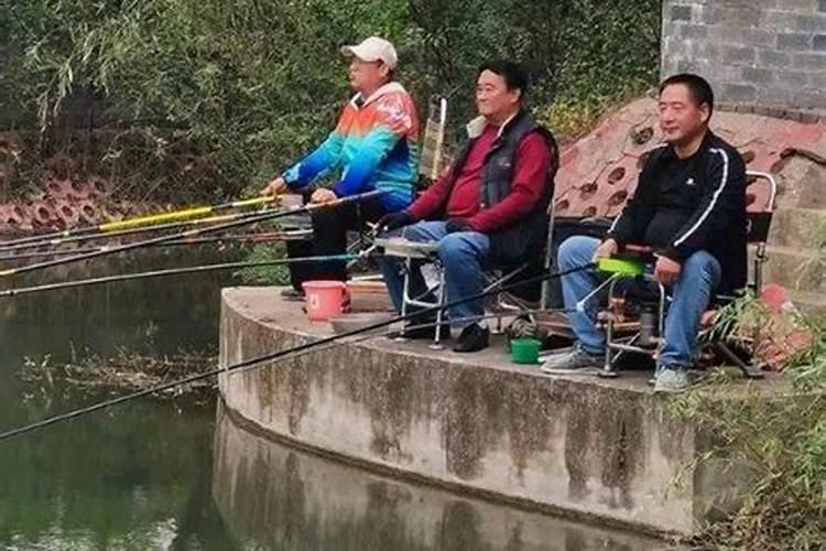 重阳节钓鱼最佳方法