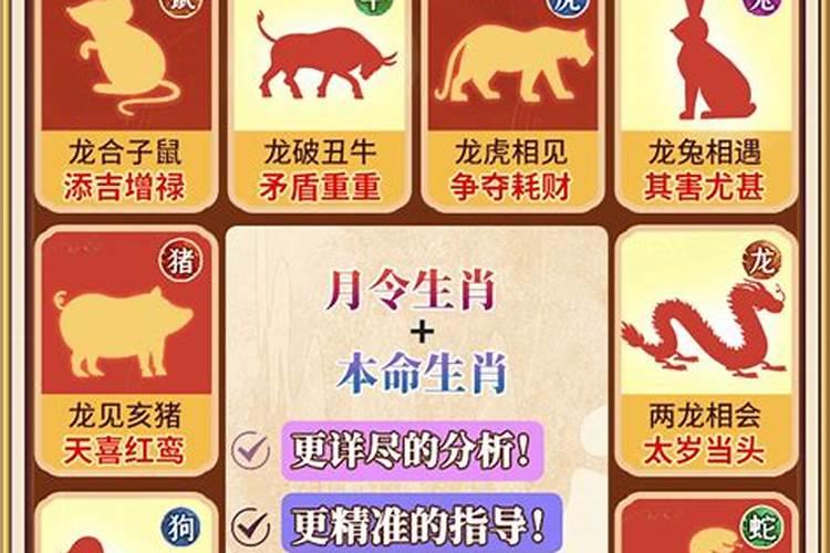 老公属马我属鸡在一起好吗