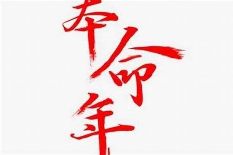 本命年语录