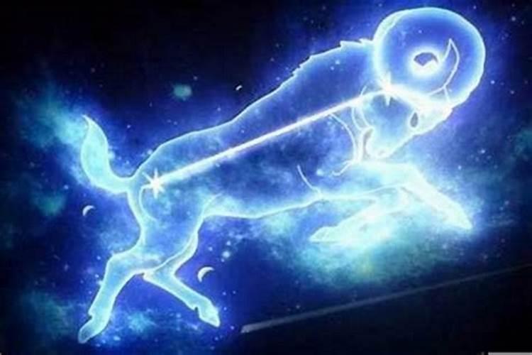 属虎摩羯座男性格特点