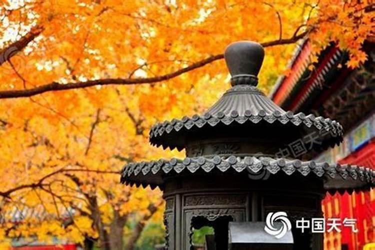 小人的心理是怎么样的