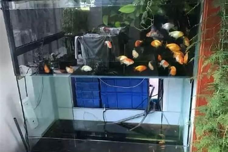 鱼缸放阳台风水好吗
