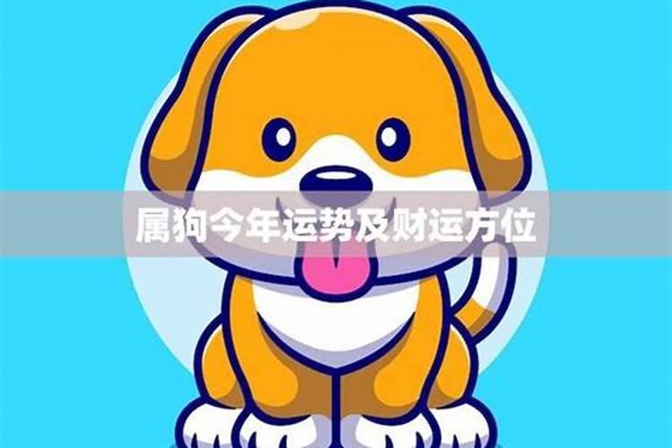 2025属狗人全年运势如何？ 2025年属狗人全年运势详解