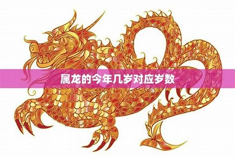 属龙的今年多大了2024年运势如何？