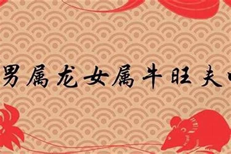 属牛男和属鸡女能不能结婚 婚姻相配吗？