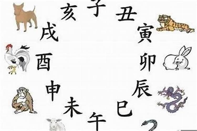 属龙人2025年全年运势详解