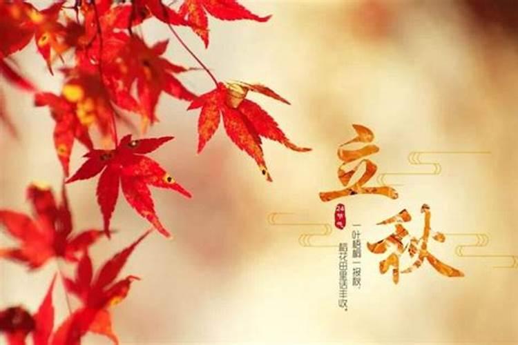 属猪人的婚姻和命运,一生命运如何