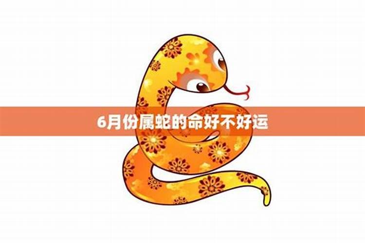 农历6月出生属蛇人命好吗