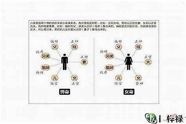 71猪女2024年农历每月运势