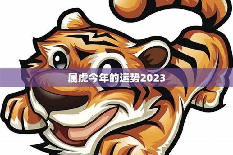 属虎的今年运气怎么样