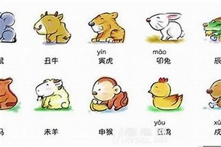 小人得志是十二生肖哪个