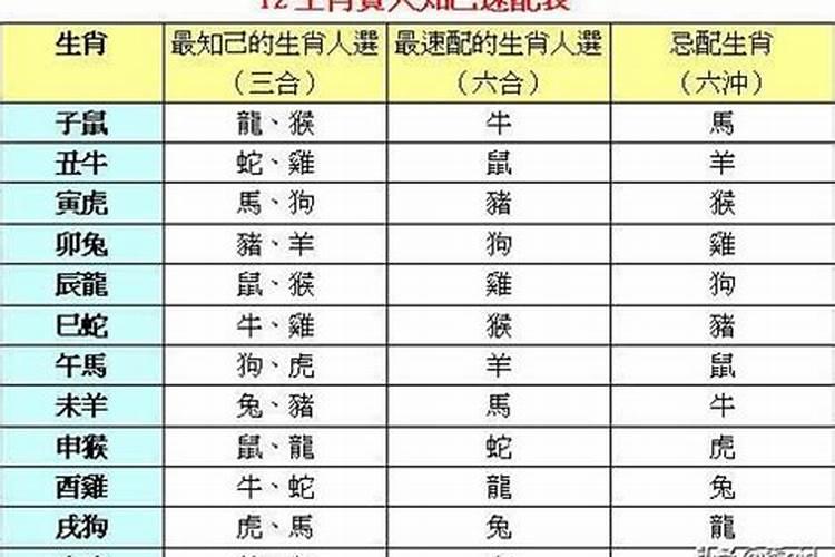 婚姻登记是行政许可还是行政确认