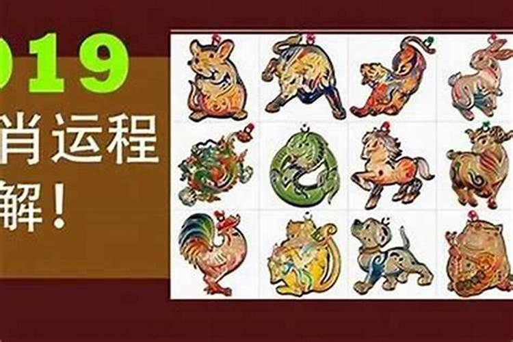 十神,与支十神区别