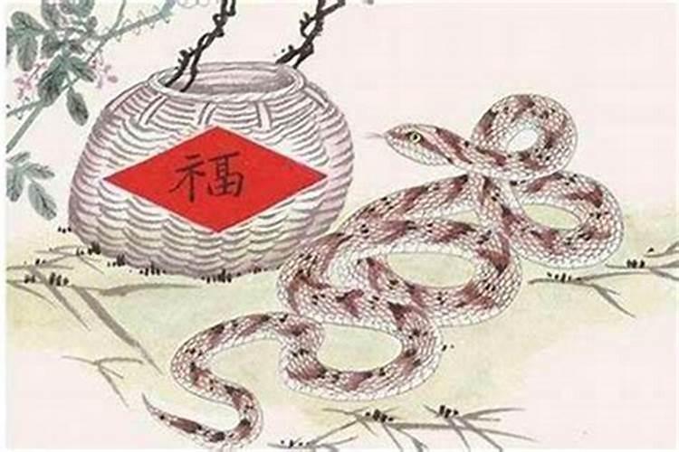 属蛇住几层楼最好吉利