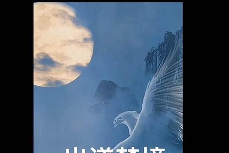 梦见狗对我很亲热是什么预兆 梦见狗对我很亲热有什么预兆