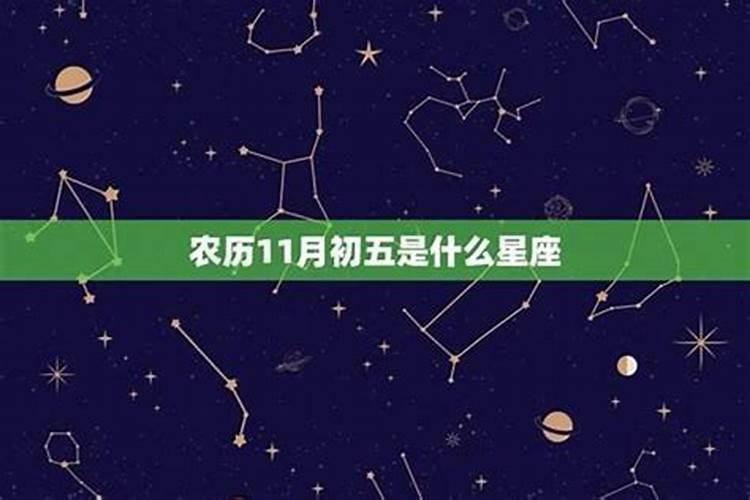 一九七六年阳历十一月二十一号阴历是多少