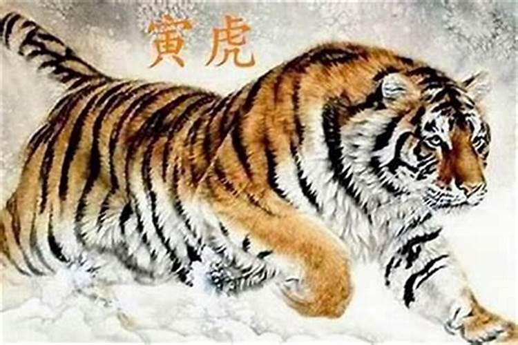 关于端午节的作文500字