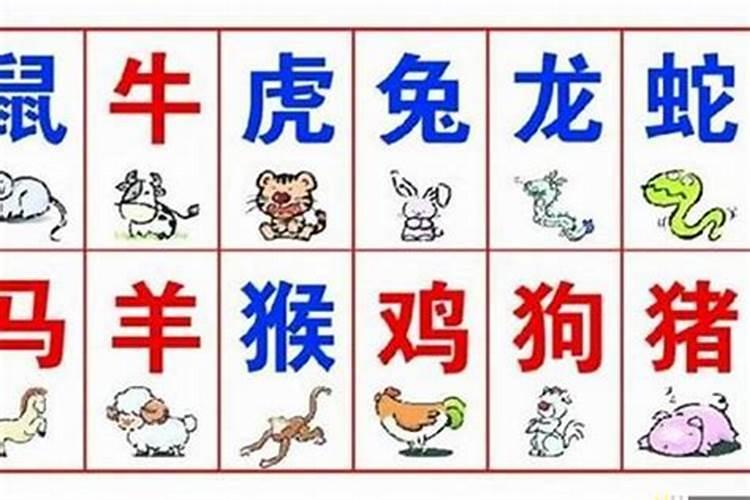 人鬼情未了,《前世今生鬼夫缘》洛七 陌殇