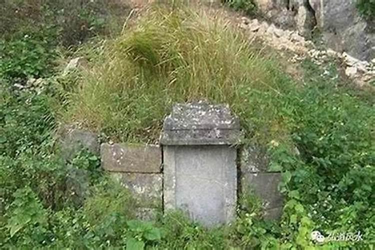 梦见坟墓上长草是什么意思？