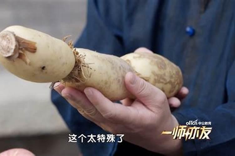 元宵节有哪些习俗