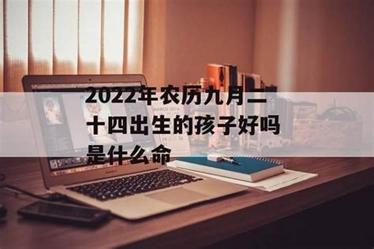 1970年属狗人2024年每月