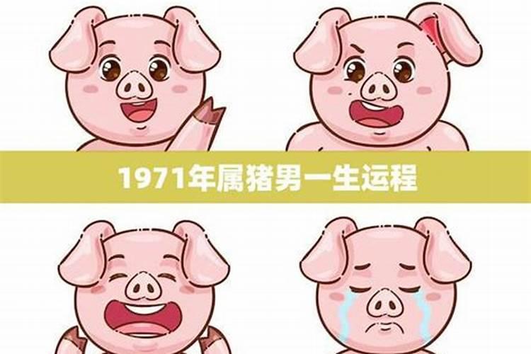 71年属猪男在2025年的全年运势